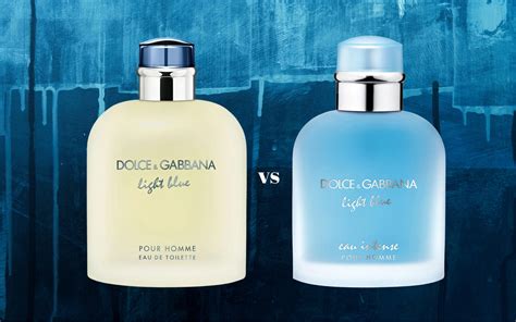 dolce gabbana light blue avis|dolce gabbana light blue sizes.